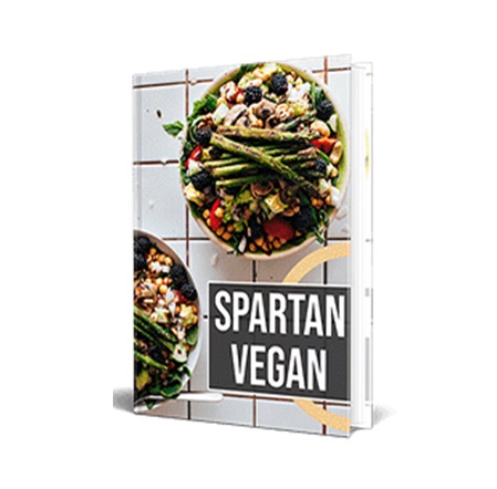 Vegan Health Lifestyle – eBook